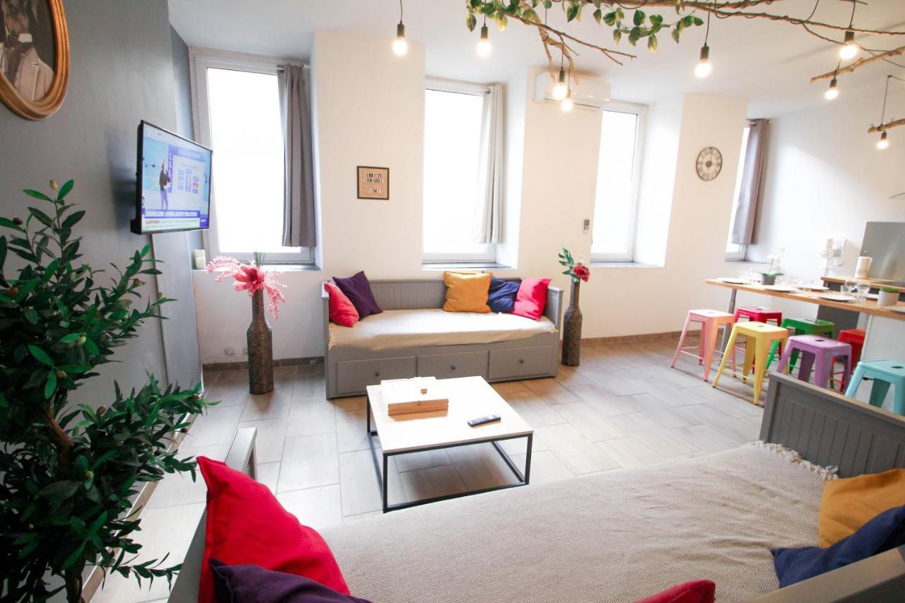 Calme En Centre , Spacieux Et Renove A 50m De La Place Carnot * Carcassonne